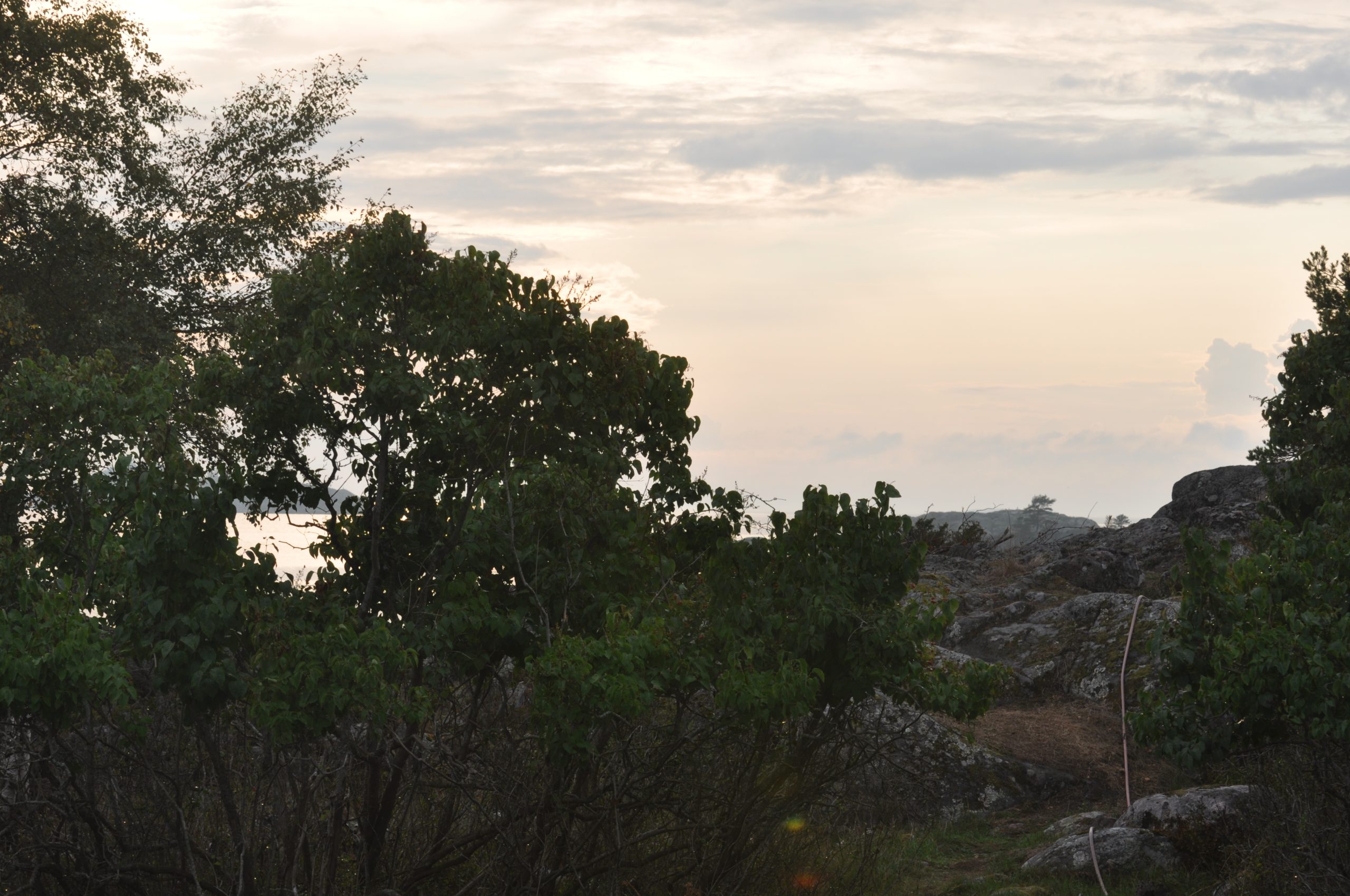 First steps on the road